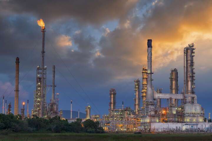 污泥利用：园林绿化与建材创新